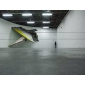 Diego Ronzio's photo
