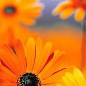 Kenetha Duncan's photo