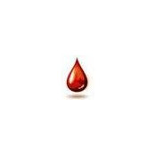 Lykke RS's photo