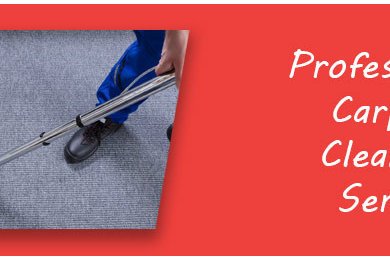 What Qualities to Look For in a Professional Carpet Cleaning Service?