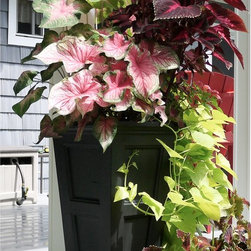 Outdoor Decor - Outdoor Decor