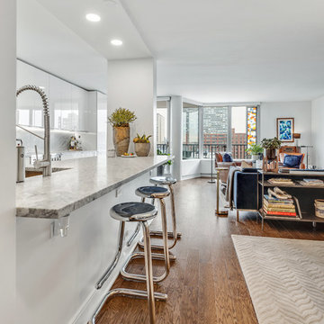 Evanston Condo Remodel