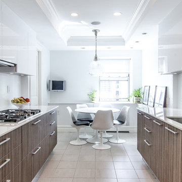 Park Avenue Project, Manhattan NY