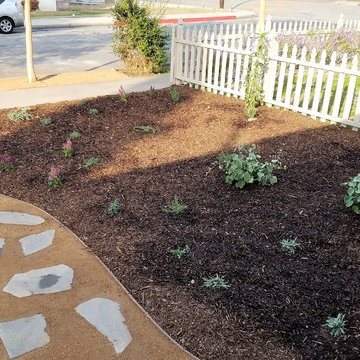 Bird & Butterfly Garden: Monrovia front/back yard