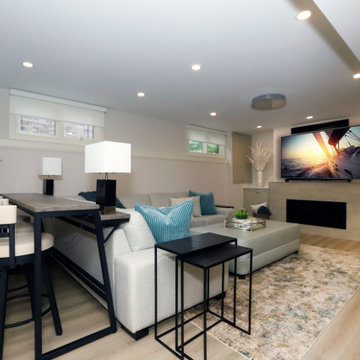 LUXE BASEMENT RENOVATION