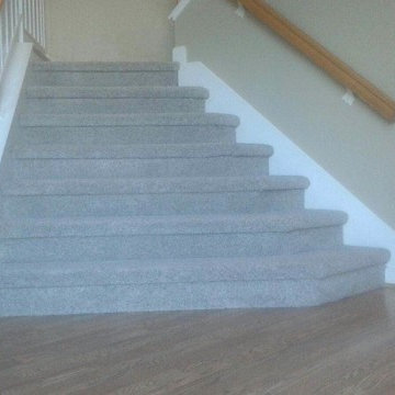 Carpet Projects