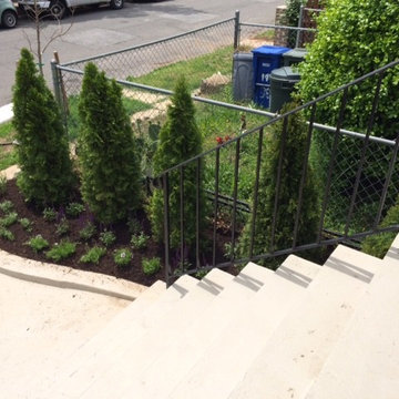Capitol Hill Front Yard Renovation