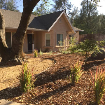 Hummingbird Oasis