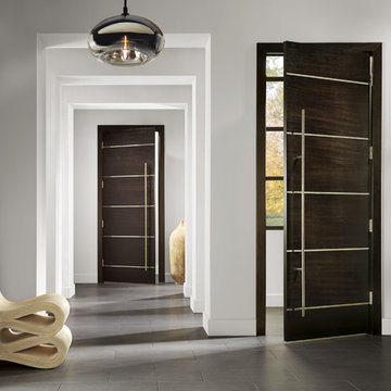 Interior Doors: Contemporary