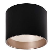 Entryway Ceiling Lights