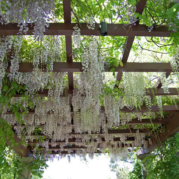 Landscape Construction + Electrical