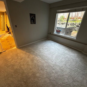 Federal Way Basement Remodel