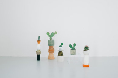 Kaktus København
