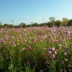 De Soto, KS Landscaping - Outdoor Pots And Planters