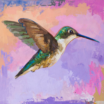 Hummingbird #2