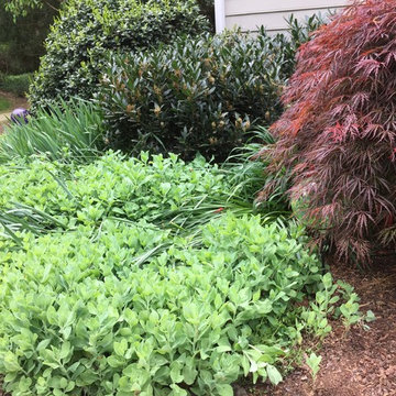 Examples of Planting Combinations