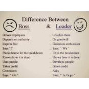 Lisa Youngblood's photo