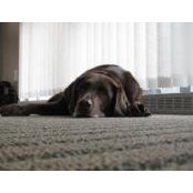Carl McCreath's photo