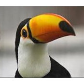 Mark Evans's photo