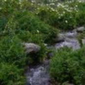 idell OLeary's photo