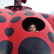 Koji Kato's photo