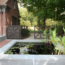 Goldfish Pond Ideas