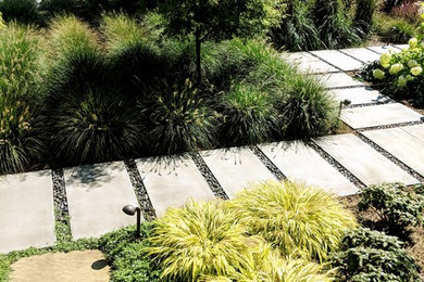 Photo of a modern full sun front yard concrete paver garden path in Seattle for summer.