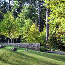 Trees
