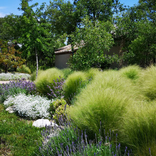 75 Beautiful Drought-Tolerant And Privacy Landscaping Pictures & Ideas