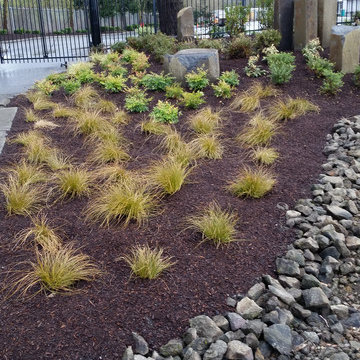 NEW LANDSCAPE DESIGN