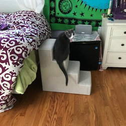 CUSTOMER PET STEPS - Products