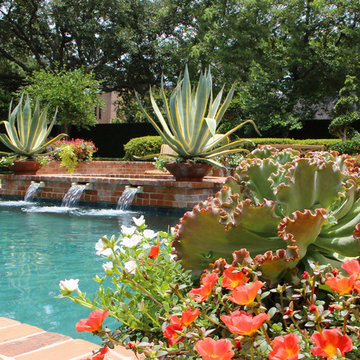 Backyard Oasis - River Oaks, Houston