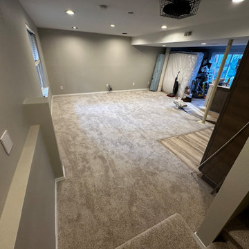 Federal Way Basement Remodel