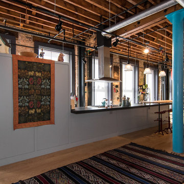 Printers Row Loft Interior Renovation