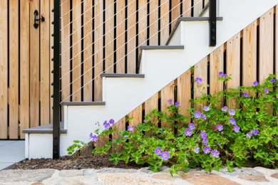 Home design - contemporary home design idea in Boston