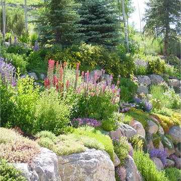Perennial Gardens