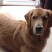 Amy Bennage's photo