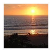Alexis Ann's photo