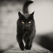 Monika Biss's photo
