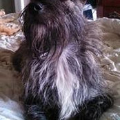 Beth Roseboro's photo