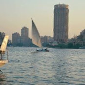 Nancy Kamel's photo