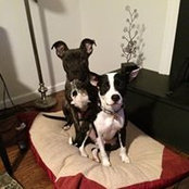 Lindsay Behnen's photo