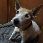 Heidi Schuster's photo