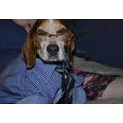 Dan MacMillan's photo