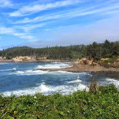 Cheryl Nickelson's photo