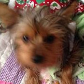 JoDee Lagein's photo