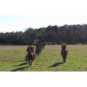 Susan Saccone's photo