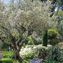 Jardins Mediterraneans