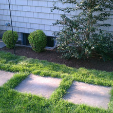 Judy’s Patio