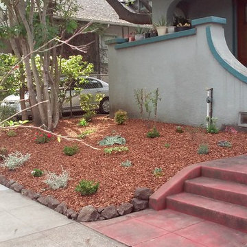 Planting, Drip & Bark in Oakland CA